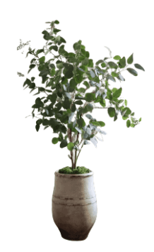 A decorative artificial eucalyptus plant housed within a distressed, off-white ceramic pot. The plan… — 3D model