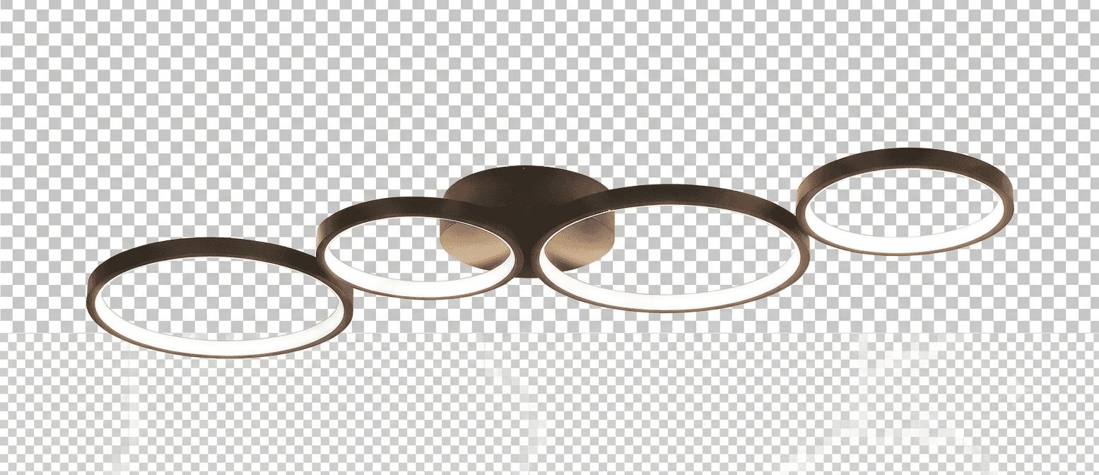 A modern ceiling light fixture featuring a central mount from which four interconnected circular rin… — 3D model