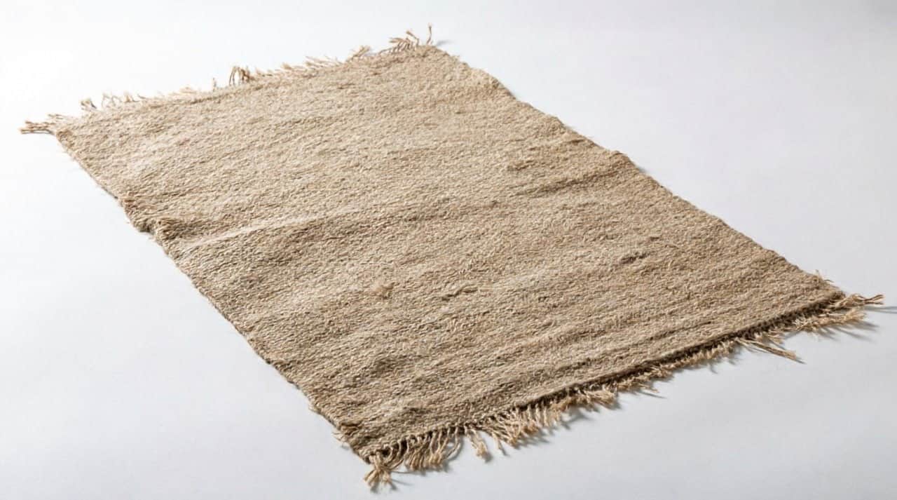 A rectangular rug made of woven fibers, featuring a textured surface and tasseled edges. The weave a… — 3D model