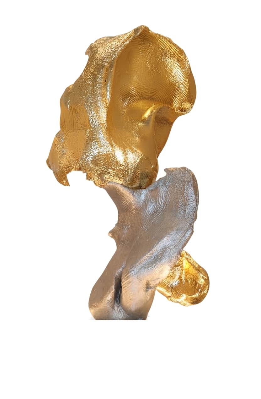 An abstract, biomorphic sculpture composed of two distinct, organically shaped elements. The top ele… — 3D model