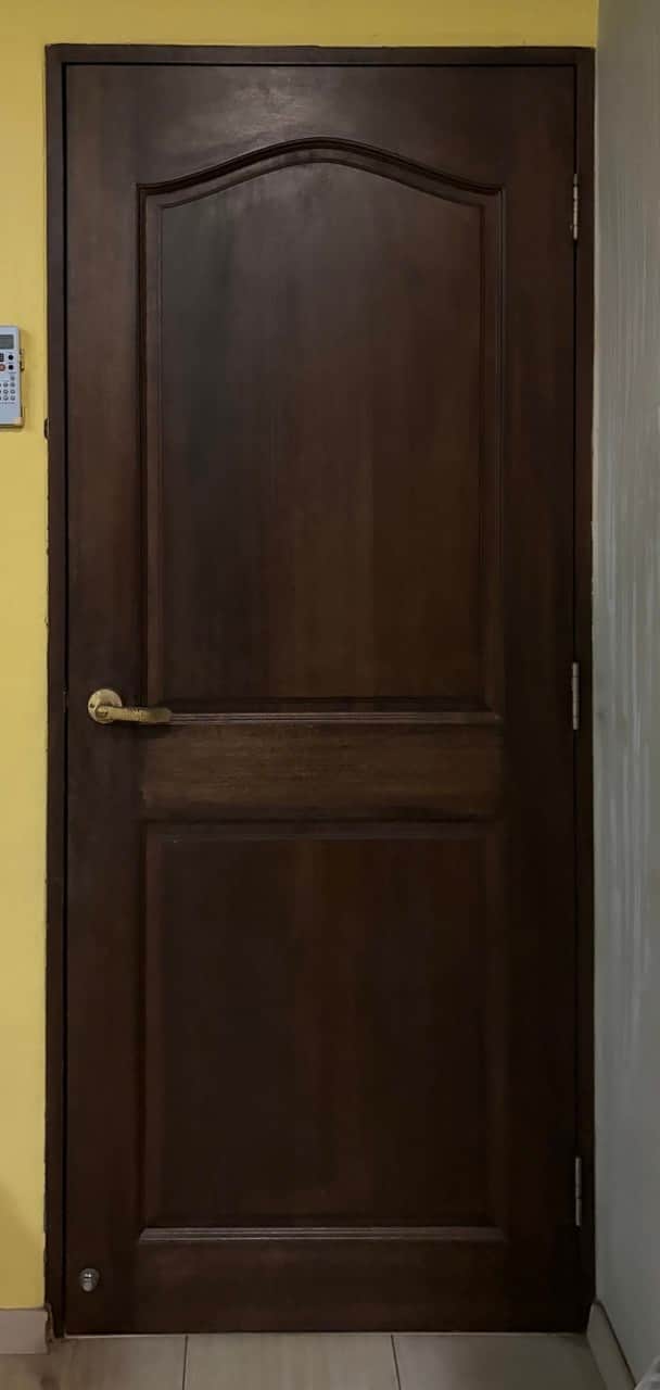 An interior door featuring a dark brown finish, a traditional paneled design with an arched top pane… — 3D model