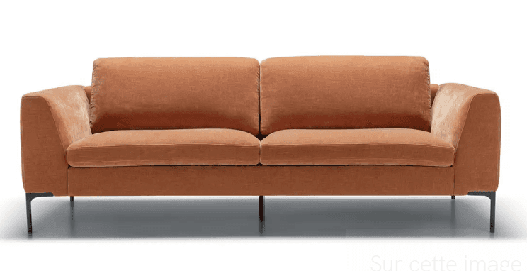 A modern, upholstered sofa with a clean-lined design. It features two seat cushions and two back cus… — 3D model