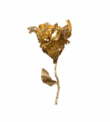 This is a wall-mounted light fixture, meticulously crafted from cast brass, exhibiting a distinctly organic and sculptural form. The fixture's primary illumination source is discreetly housed within a textured, shell-like structure that resembles an abstract floral bloom or a cluster of leaves. The cast brass material is left with a warm, natural golden finish, showcasing intricate detailing and a deliberately uneven, textured surface that enhances its artistic appeal. A slender, stylized stem extends downwards from the main luminaire, completing the botanical aesthetic and serving as the mounting point. — 3D model