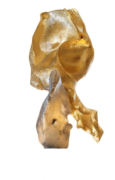 An abstract, biomorphic sculpture composed of two distinct, organically shaped elements. The top element is finished in a lustrous gold, while the bottom element is finished in a contrasting silver. Both sections feature textured, undulating surfaces that suggest a fluid, molten or cast metal form. The two pieces appear to be interlocked or balanced precariously, creating a dynamic and visually intriguing composition. The gold element shows visible fingerprint-like textures, adding to its unique character. — 3D model