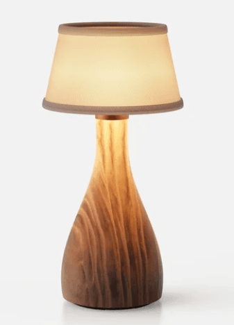 A table lamp featuring a smooth, organically shaped wooden base with visible grain, topped with a conical fabric shade. — 3D model