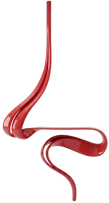 A modern, sculptural chair with a fluid, organic design. It features a continuous, ribbon-like form that rises from the base, curves to create a seat and backrest, and then tapers upwards. The form suggests movement and elegance. — 3D model