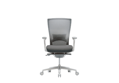 A modern ergonomic office chair with a grey mesh back, upholstered dark grey seat, adjustable armrests, and a five-star white base with casters. — 3D model