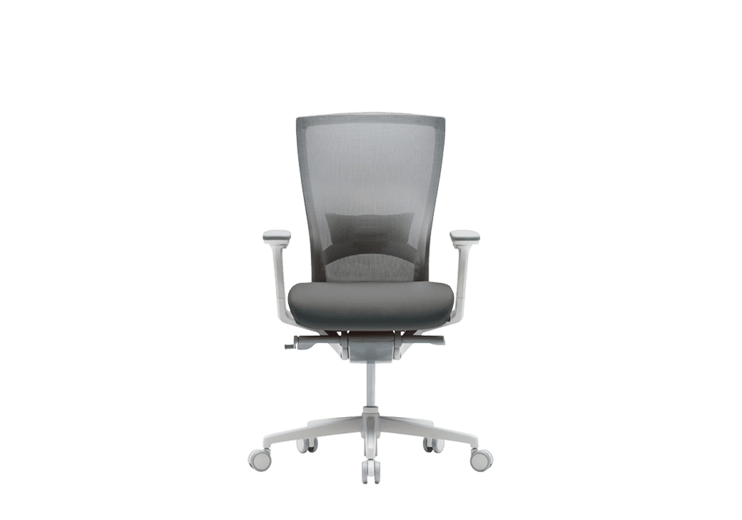 A modern ergonomic office chair with a grey mesh back, upholstered dark grey seat, adjustable armrests, and a five-star white base with casters. — 3D model