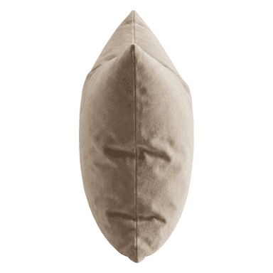 A square accent pillow with a plush, velvet-like texture. The pillow is filled to provide a soft and comfortable surface. Its neutral, sandy beige color makes it a versatile addition to various decor styles. The construction appears to be seamless, with a simple, clean finish. — 3D model