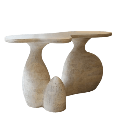 A console table with an organic, flowing shape. It features a single, freeform tabletop supported by two sculptural pedestal bases that appear to be bulbous and rounded, with a smaller, organically shaped element in the foreground connecting to the bases. The overall design evokes natural forms. — 3D model
