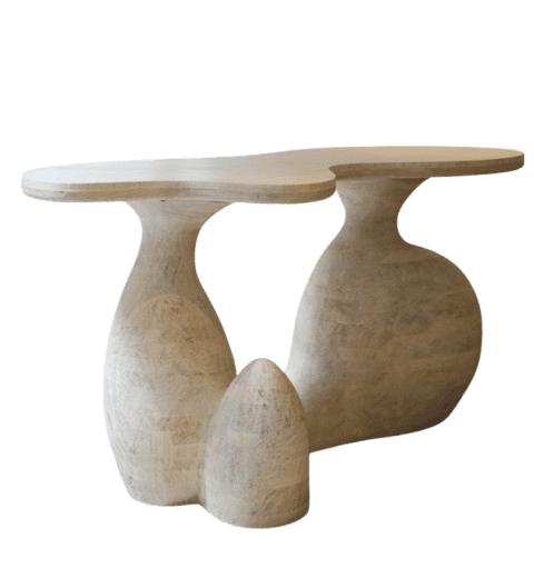 A console table with an organic, flowing shape. It features a single, freeform tabletop supported by two sculptural pedestal bases that appear to be bulbous and rounded, with a smaller, organically shaped element in the foreground connecting to the bases. The overall design evokes natural forms. — 3D model