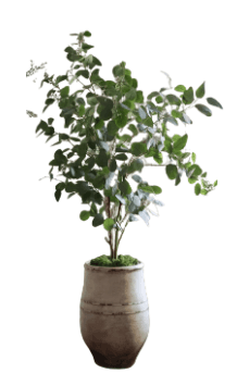 A decorative artificial eucalyptus plant housed within a distressed, off-white ceramic pot. The plant features numerous green, rounded leaves with a lifelike appearance, along with subtle hints of small white buds or flowers. The pot exhibits a rustic aesthetic with horizontal textured bands and a weathered, earthy finish that complements the natural greenery. — 3D model