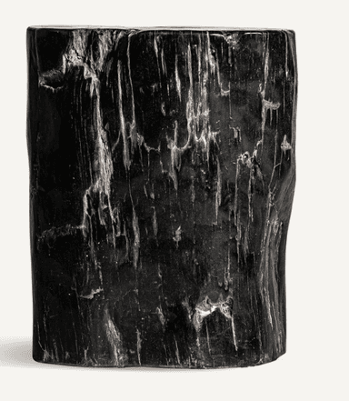 A solid, cylindrical piece of petrified wood, dark charcoal or black in color, with a rough, naturally textured surface and irregular contours. — 3D model