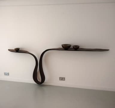 A sculptural, dark wood wall-mounted shelf featuring an organic, undulating ribbon-like form. It integrates three recessed, bowl-shaped depressions of varying sizes along its length, serving as both decorative and functional elements. The piece is finished in a smooth, deep brown color, highlighting its artistic curves. — 3D model