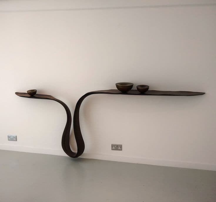 A sculptural, dark wood wall-mounted shelf featuring an organic, undulating ribbon-like form. It integrates three recessed, bowl-shaped depressions of varying sizes along its length, serving as both decorative and functional elements. The piece is finished in a smooth, deep brown color, highlighting its artistic curves. — 3D model
