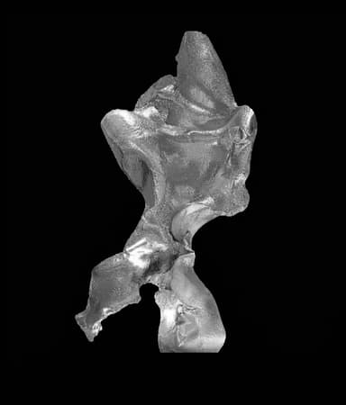 A three-dimensional abstract sculpture crafted from a metallic material, exhibiting a highly irregular, organic, and fluid form. The entire surface is covered in a distinct ripple-like or fingerprint-like texture, creating a sense of movement and tactile interest. The object displays varying depths and undulations, with some areas appearing more convex and others concave, contributing to its complex silhouette. The metallic finish reflects light, highlighting its sculptural qualities. — 3D model