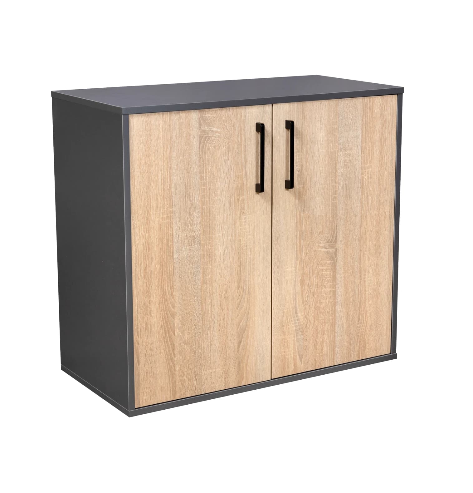 A contemporary two-door storage cabinet featuring a dark gray or black frame and two light-colored, wood-grain laminate doors. Each door is equipped with a black rectangular bar handle. The cabinet has a simple, rectangular form factor, designed for enclosed storage. — 3D model