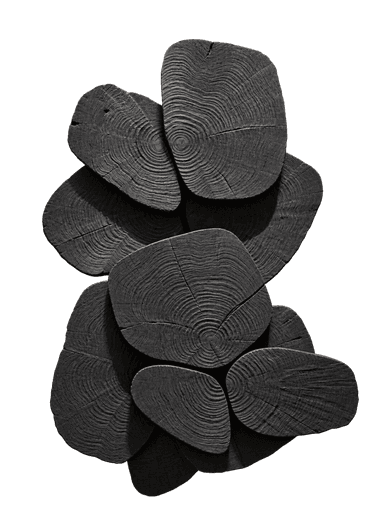 A sculptural wall-mounted art piece composed of multiple irregularly shaped, dark-colored wood slices, revealing prominent concentric tree rings and arranged in an overlapping, three-dimensional configuration. — 3D model