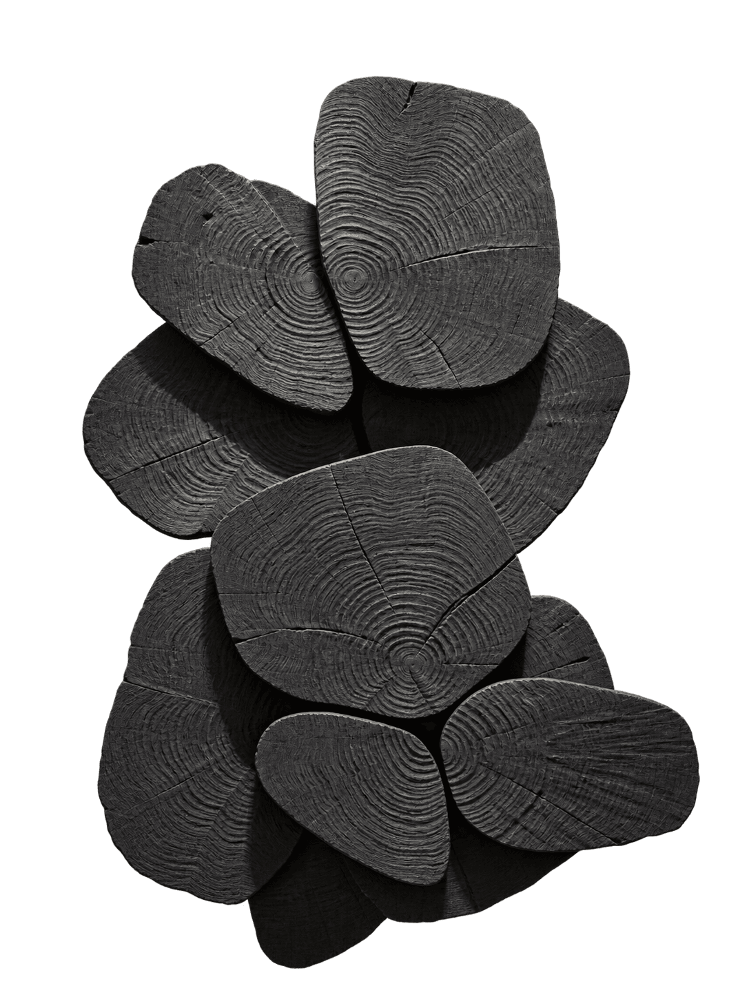 A sculptural wall-mounted art piece composed of multiple irregularly shaped, dark-colored wood slices, revealing prominent concentric tree rings and arranged in an overlapping, three-dimensional configuration. — 3D model