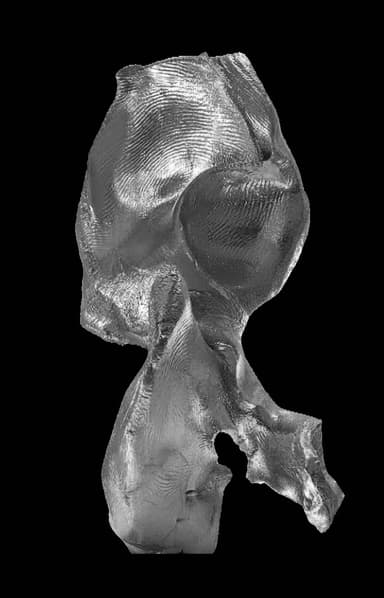 A three-dimensional abstract sculpture crafted from a metallic material, exhibiting a highly irregular, organic, and fluid form. The entire surface is covered in a distinct ripple-like or fingerprint-like texture, creating a sense of movement and tactile interest. The object displays varying depths and undulations, with some areas appearing more convex and others concave, contributing to its complex silhouette. The metallic finish reflects light, highlighting its sculptural qualities. — 3D model
