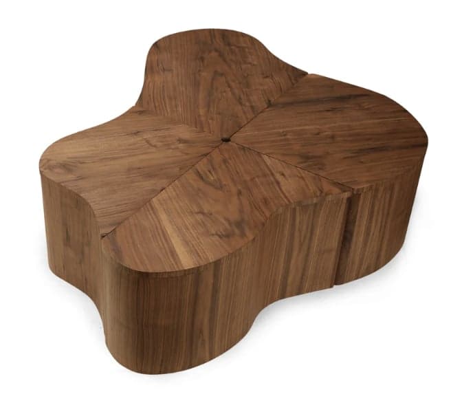 A low-profile coffee table crafted from walnut wood, featuring an organic, undulating shape. The tabletop is composed of four sections with a distinct wood grain pattern radiating from a central point, emphasizing its natural material and fluid design. — 3D model