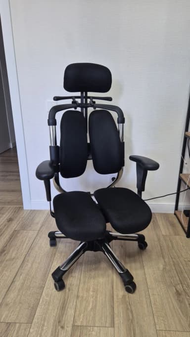An ergonomic office chair featuring a unique split backrest and bifurcated seat, both upholstered in black fabric. It has a contoured headrest, adjustable armrests, and a polished metal five-star base with casters. — 3D model