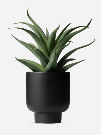 A faux potted plant featuring dark green, spiky leaves with a slight curl at the tips, housed in a matte black ceramic planter. The planter has a contemporary design with a cylindrical body and a subtly footed base. — 3D model