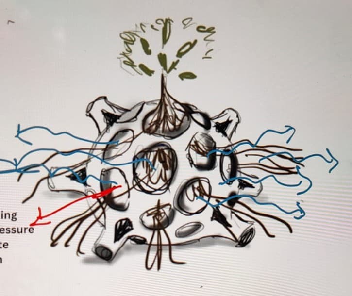 A rendered image of an abstract spherical planter, predominantly white, featuring numerous circular cutouts and tubular protrusions. A small plant with visible roots is integrated into the structure, with its roots extending through the perforations and its green foliage emerging from the top. — 3D model
