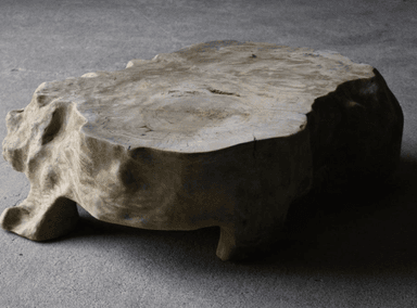 A coffee table crafted from a single, substantial piece of natural wood, likely a tree stump or root system. It features an irregular, organic silhouette with a flat top surface displaying visible wood grain, growth rings, and minor cracks. The base is formed by integrated, sculpted legs that emerge from the main body of the wood, maintaining the raw, natural aesthetic. — 3D model