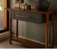 A modern, narrow console table featuring a rich brown wooden top and legs, a contrasting gray drawer with a brass pull, and a lower storage shelf, accented with vertical brass inlays on the legs. — 3D model
