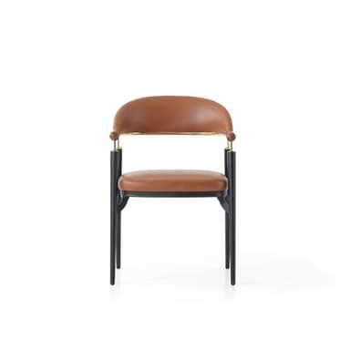 A contemporary armchair featuring a sleek design with a curved backrest and seat, upholstered in tan leather. It rests on slender, tapered black metal legs and includes wooden armrest caps connected by polished brass accent rods. — 3D model