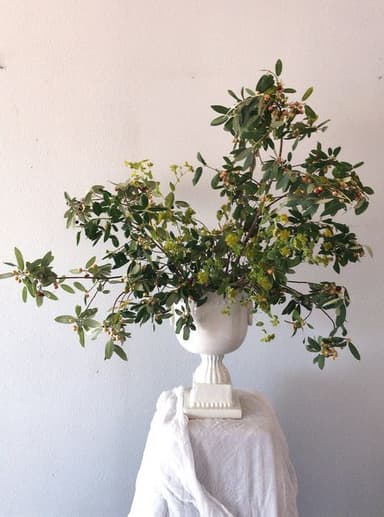 A decorative faux botanical arrangement featuring green foliage with small berries, set within a white, neoclassical-style urn. The urn has a classical fluted body and rests on a square stepped base. — 3D model