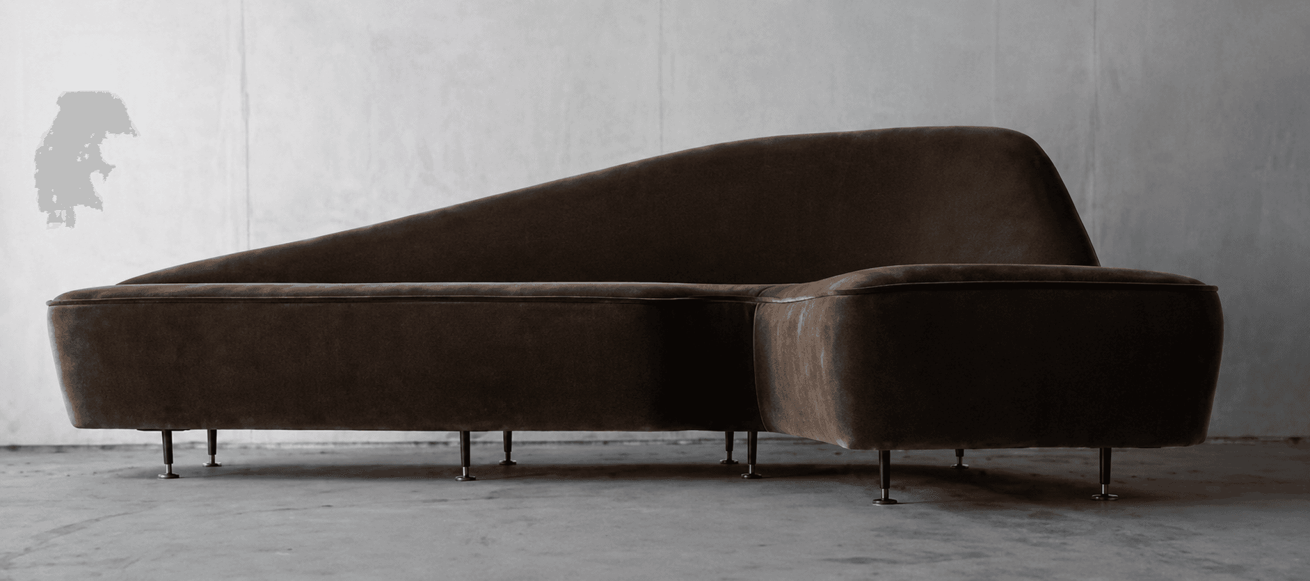 An L-shaped modular sectional sofa featuring a distinctively curved backrest on one side and an integrated chaise extension. The sofa is upholstered in a plush, dark brown fabric, likely velvet or microsuede, and supported by multiple small, dark, low-profile cylindrical feet. — 3D model