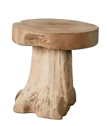 A rustic end table with a natural, organic design. The tabletop is a thick, circular slice of wood with an irregular edge, while the base is shaped like a tree trunk or stump, showcasing the natural grain and texture of the wood. The piece appears to be crafted from a single piece of wood or assembled to mimic a natural form. — 3D model