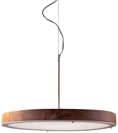 A modern circular pendant light featuring a wide, flat wooden frame with a prominent grain. The center of the circle is filled with a white, translucent diffuser panel, likely housing integrated LED lighting. A slender, polished brass rod emerges from the center of the diffuser, extending upwards to connect with a delicate suspension wire. The suspension also includes a sculptural, wavy element made from what appears to be a dark metallic material, adding a decorative touch to the hanging mechanism. The light is designed for ceiling suspension. — 3D model
