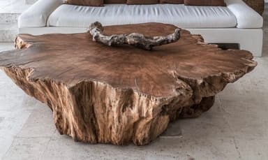 A low-profile coffee table crafted from a single, thick slab of natural wood, likely a root section, showcasing its organic, live edges and distinctive grain. The surface is relatively flat but follows the natural contours of the wood, with a small, gnarled piece of natural wood decoratively placed on top. The base appears to be an extension of the same wood slab, forming a solid, rustic structure. — 3D model