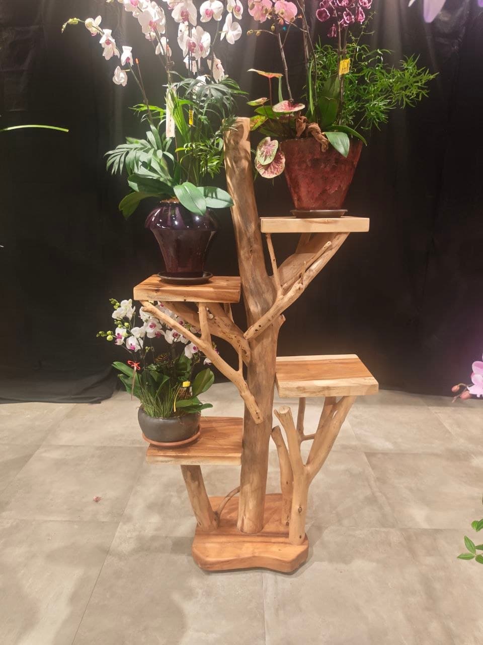 A natural wood display shelving unit designed with a tree-like aesthetic, featuring a central column resembling a tree trunk and multiple square shelves supported by branch-like structures. The unit has a stable, irregular-shaped base. — 3D model
