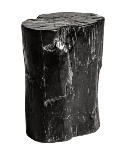 A solid, cylindrical piece of petrified wood, dark charcoal or black in color, with a rough, naturally textured surface and irregular contours. — 3D model