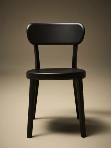 A dark-colored wooden dining chair viewed from the back. The chair features a gently curved backrest supported by two upright posts that extend from the seat. The seat itself is also curved and appears to be solid. The legs are slightly tapered and angled outwards. The overall construction suggests a modern or contemporary design with clean lines and a minimalist aesthetic. — 3D model