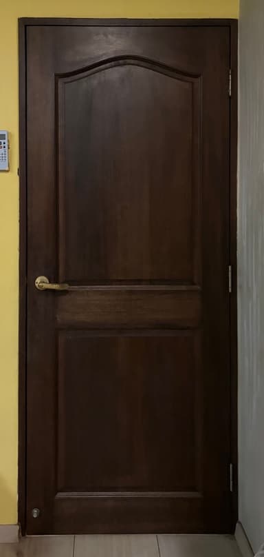 An interior door featuring a dark brown finish, a traditional paneled design with an arched top panel, and brass-colored lever-style hardware. The door is presented from an angled perspective against a white background. — 3D model