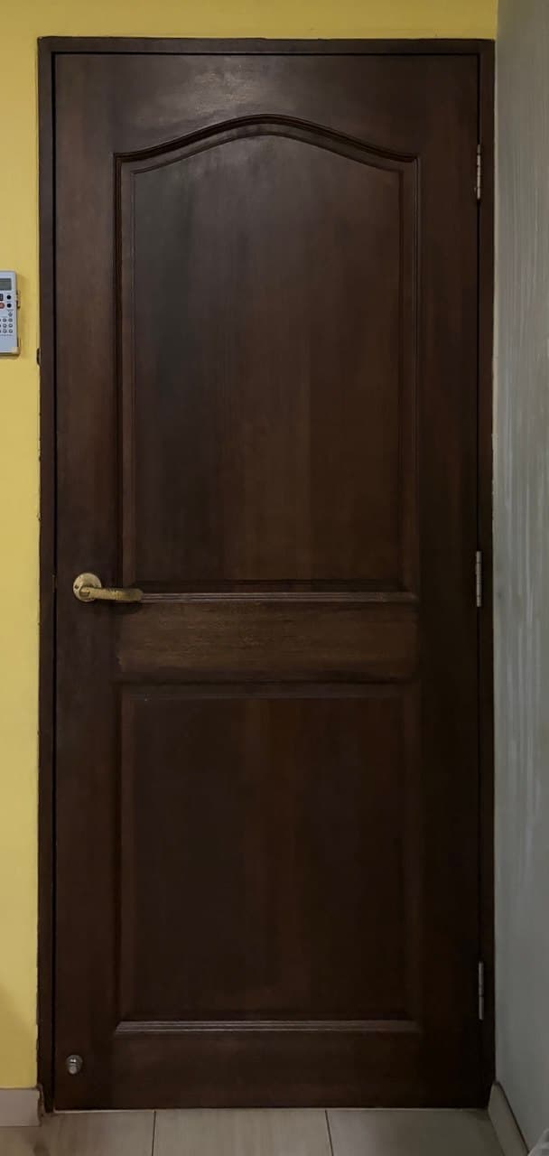 An interior door featuring a dark brown finish, a traditional paneled design with an arched top panel, and brass-colored lever-style hardware. The door is presented from an angled perspective against a white background. — 3D model
