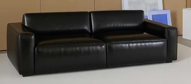 A contemporary two-seater sofa upholstered in black leather or faux leather, featuring a minimalist design with clean lines. It has squared armrests, two distinct seat cushions, and two back cushions, all presenting a smooth, unadorned surface. The sofa sits low to the ground on what appear to be short, recessed block feet, contributing to its modern aesthetic. — 3D model
