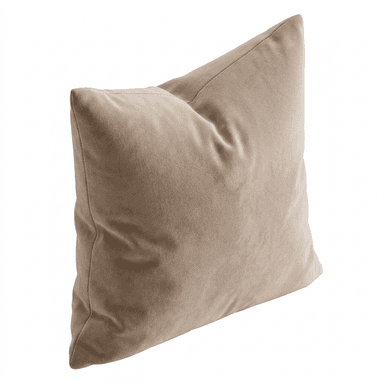 A square accent pillow with a plush, velvet-like texture. The pillow is filled to provide a soft and comfortable surface. Its neutral, sandy beige color makes it a versatile addition to various decor styles. The construction appears to be seamless, with a simple, clean finish. — 3D model