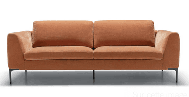 A modern, upholstered sofa with a clean-lined design. It features two seat cushions and two back cushions, with slightly sloped armrests. The sofa is supported by slim, dark metal legs. — 3D model