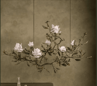 A horizontal, botanical-themed chandelier featuring sculpted metal branches, leaves, and large white magnolia-like flowers, suspended by two dark metal chains. The metal elements have a dark, patinated finish, suggesting aged bronze or brass, while the flowers are a pristine white, creating a striking contrast. The overall form is organic and naturalistic, designed to evoke a blossoming branch. — 3D model