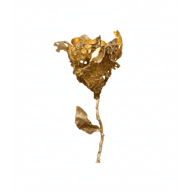 This is a wall-mounted light fixture, meticulously crafted from cast brass, exhibiting a distinctly organic and sculptural form. The fixture's primary illumination source is discreetly housed within a textured, shell-like structure that resembles an abstract floral bloom or a cluster of leaves. The cast brass material is left with a warm, natural golden finish, showcasing intricate detailing and a deliberately uneven, textured surface that enhances its artistic appeal. A slender, stylized stem extends downwards from the main luminaire, completing the botanical aesthetic and serving as the mounting point. — 3D model (AI enhanced source)