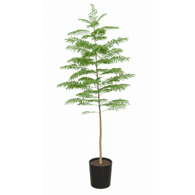A tall, slender potted plant with delicate, fern-like green foliage and a straight, brown stem, housed in a simple, cylindrical black pot filled with dark soil. — 3D model (AI enhanced source)