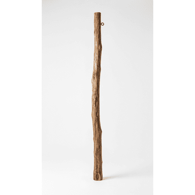 A tall, slender pole made from natural wood, featuring an organic, gnarled texture. It stands vertically and has a metal eye hook near the top. — 3D model (AI enhanced source)