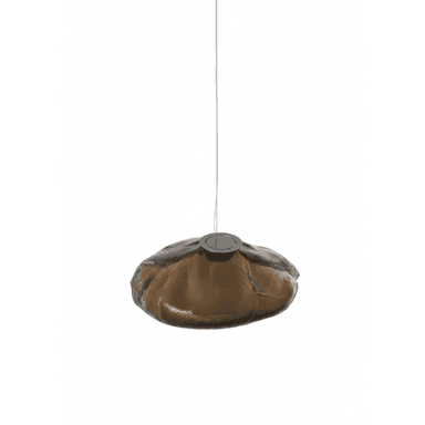 A hanging light fixture with a unique, organic, blob-like shade made of translucent dark amber glass or acrylic, suspended by a thin wire attached to a small dark metallic disc. — 3D model (AI enhanced source)