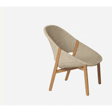 A contemporary lounge chair featuring a distinctive woven rope seat and backrest, supported by a solid wood frame. The chair has a low-slung profile and a wide, rounded shell, suggesting a relaxed seating experience. The natural materials and simple lines give it a modern, organic aesthetic. — 3D model (AI enhanced source)